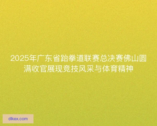 2025年广东省跆拳道联赛总决赛佛山圆满收官展现竞技风采与体育精神 2025年广东省跆拳道联赛总决赛佛山圆满收官展现竞技风采与体育精神